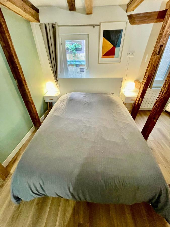 Strasbourg Magnifique Appartement Centre Ville Petite France Экстерьер фото